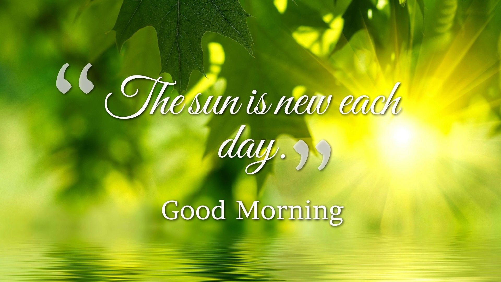 Beautiful Sunshine Day Good Morning Quotes Wallpaper 00220