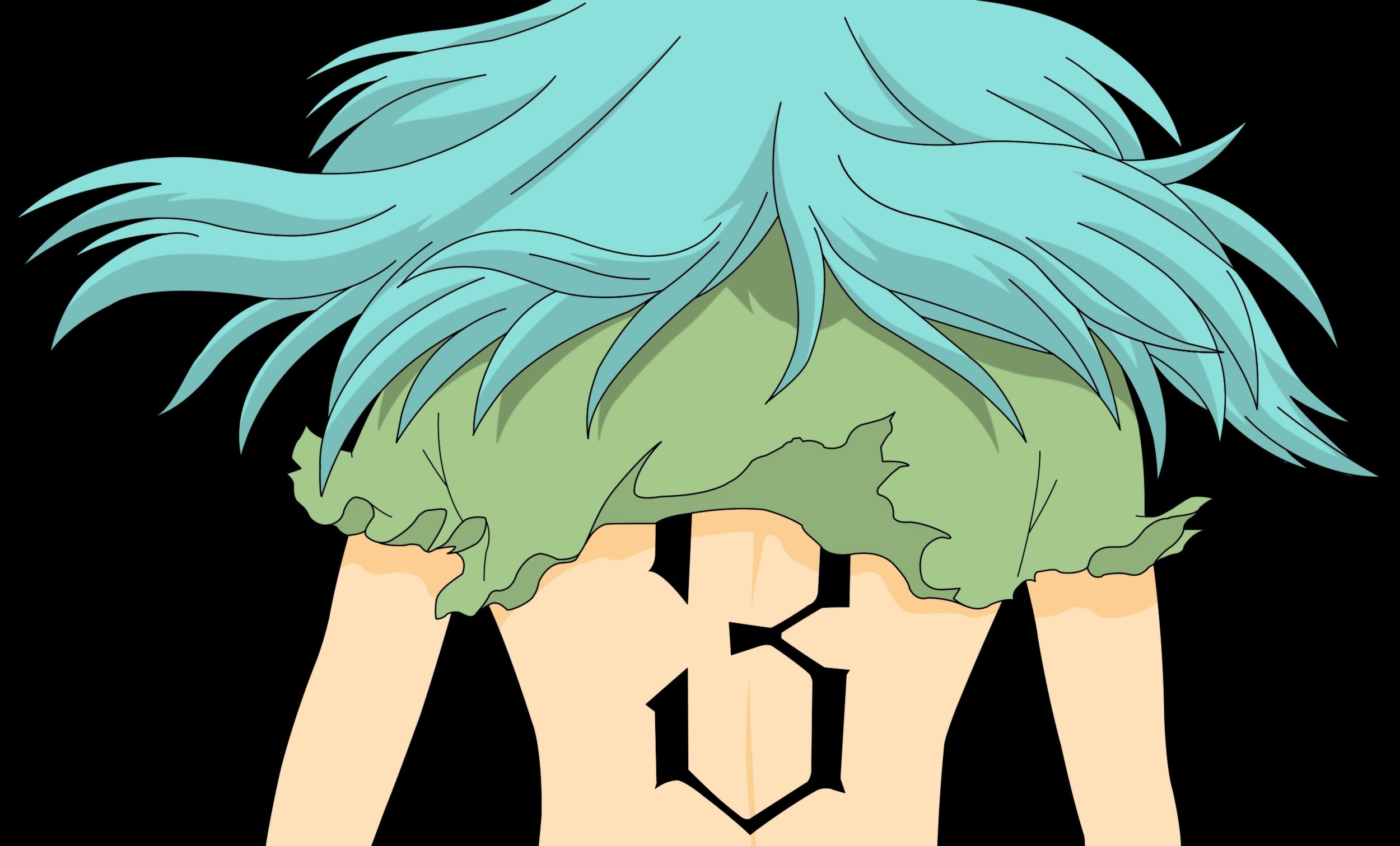 Download 2500x1512 Bleach espada nelliel tu odelschwanck black background 2500x1512 wallpaper