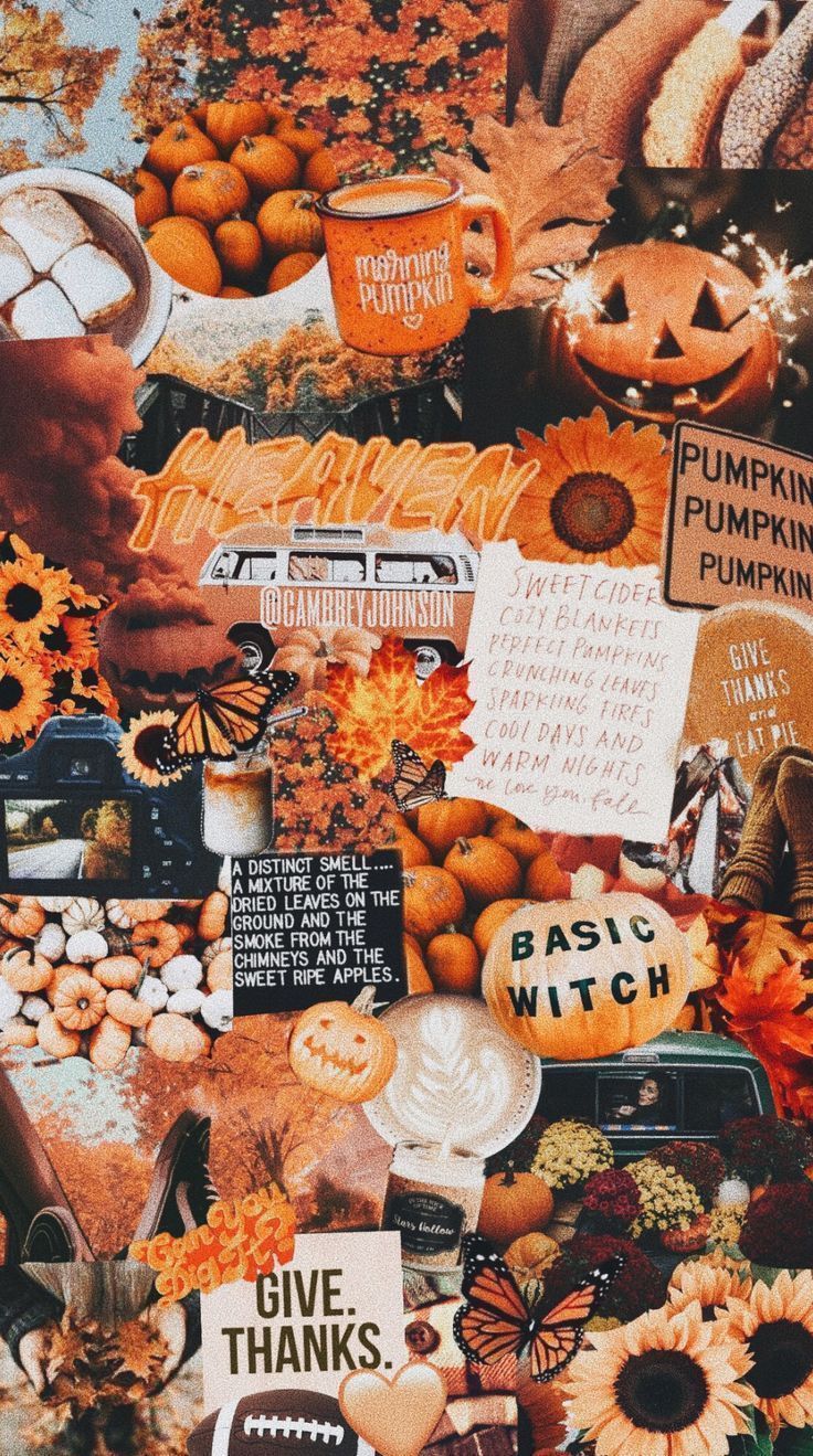 Pumpkin iPhone Wallpaper