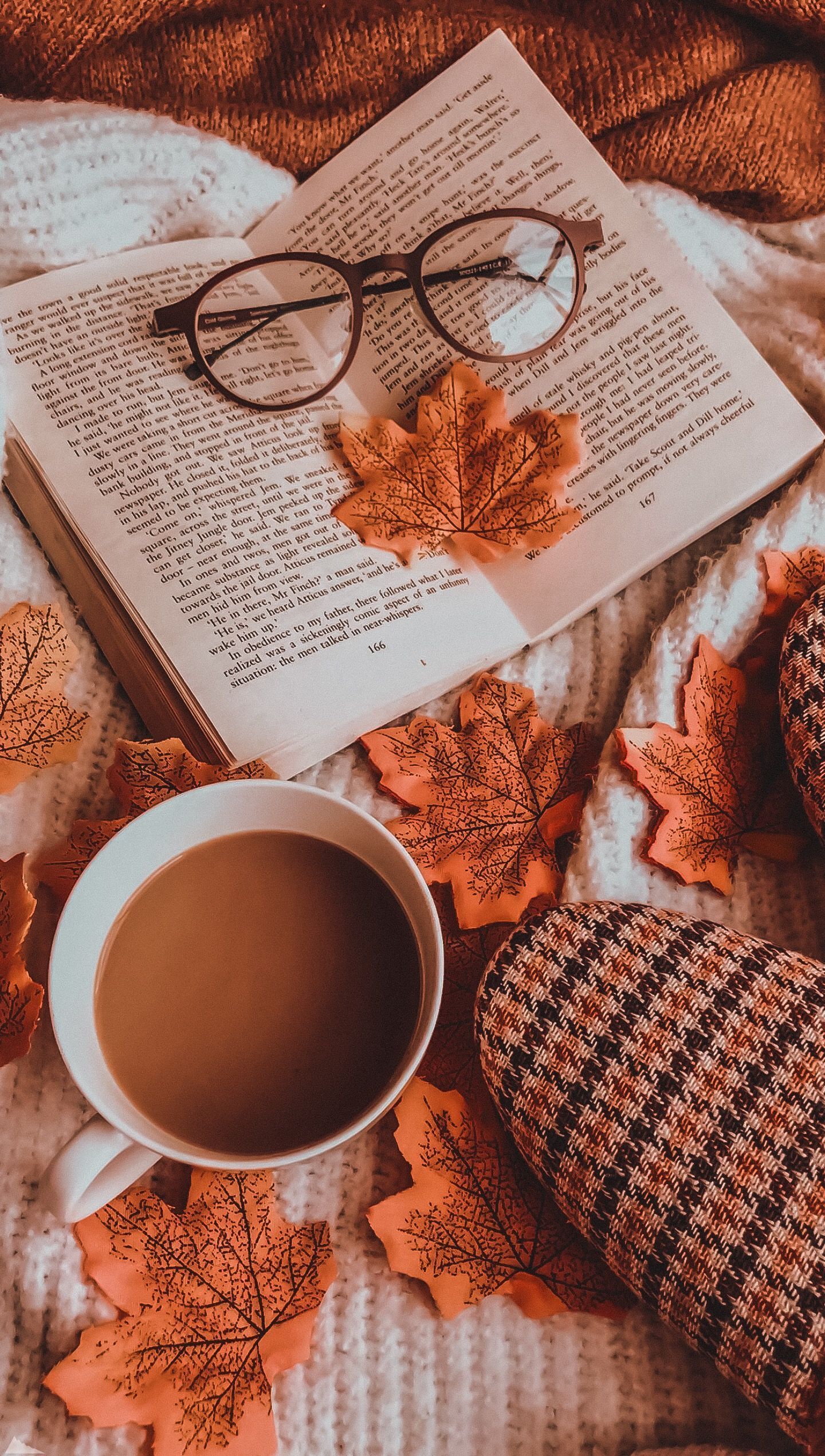 HD fall vibes wallpapers  Peakpx