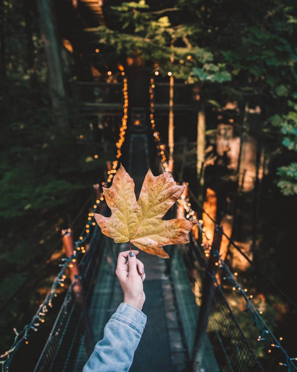 Fall Vibes Wallpapers - Wallpaper Cave