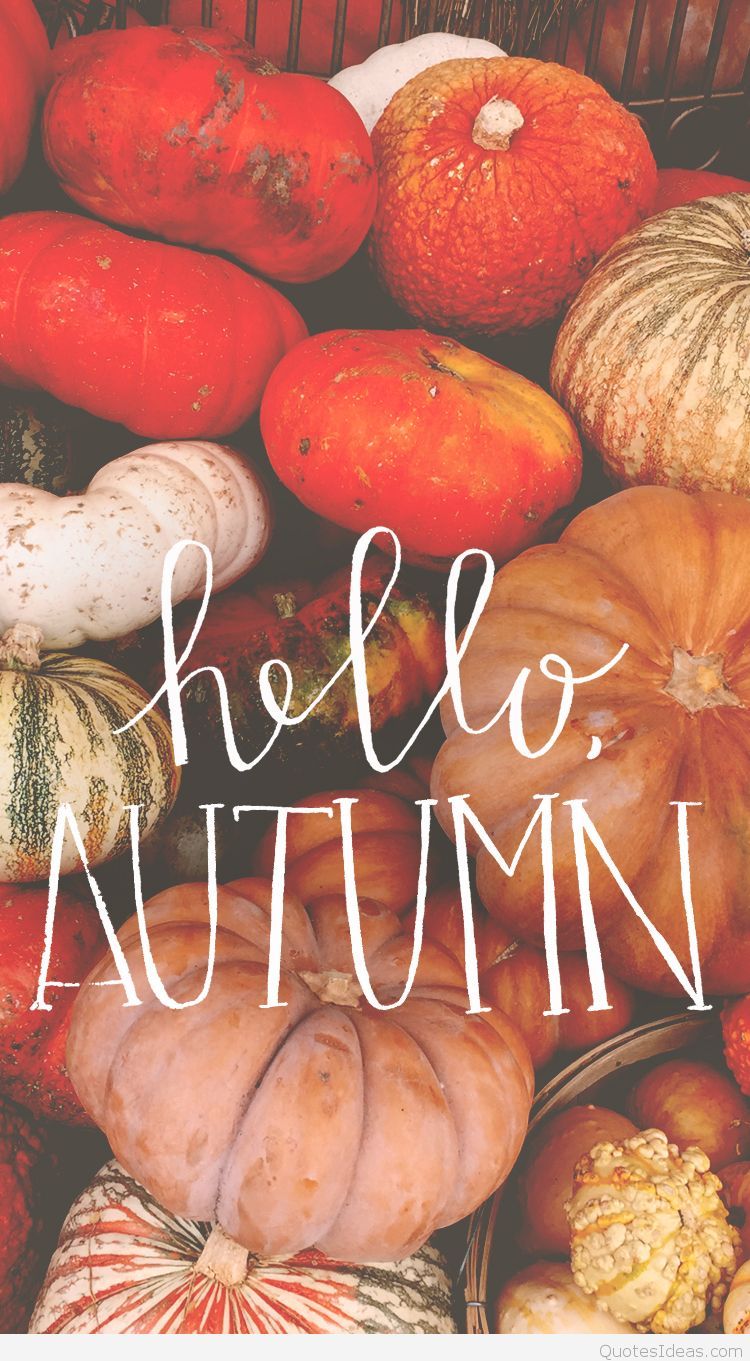 Hi september Hello Autumn photo quotes and wallpaper
