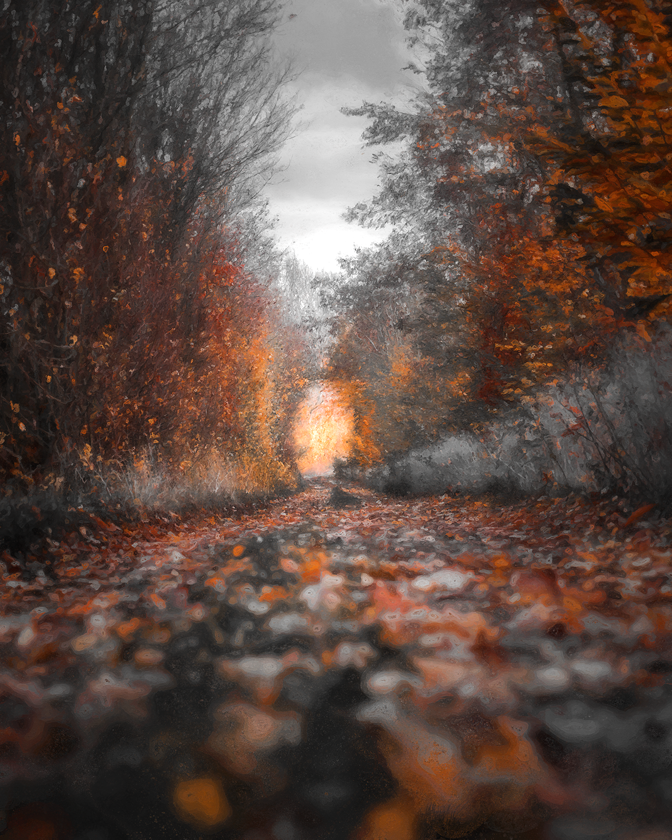 Autumn Vibes Digital Painting, Poster. Background HD wallpaper, Best photo background, Background image hd