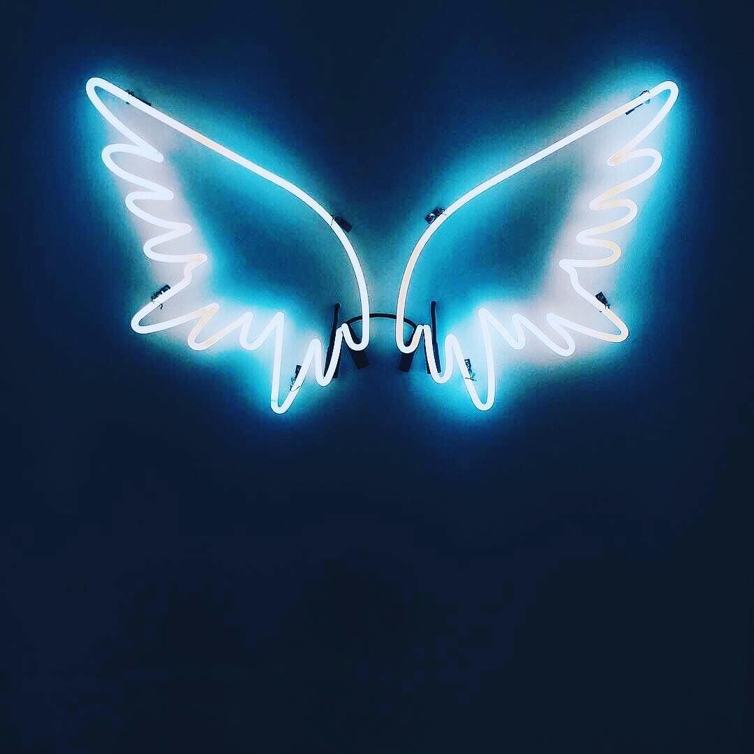 Neon Wings Wallpapers Wallpaper Cave Hire rate £300 + v.a.t. neon wings wallpapers wallpaper cave
