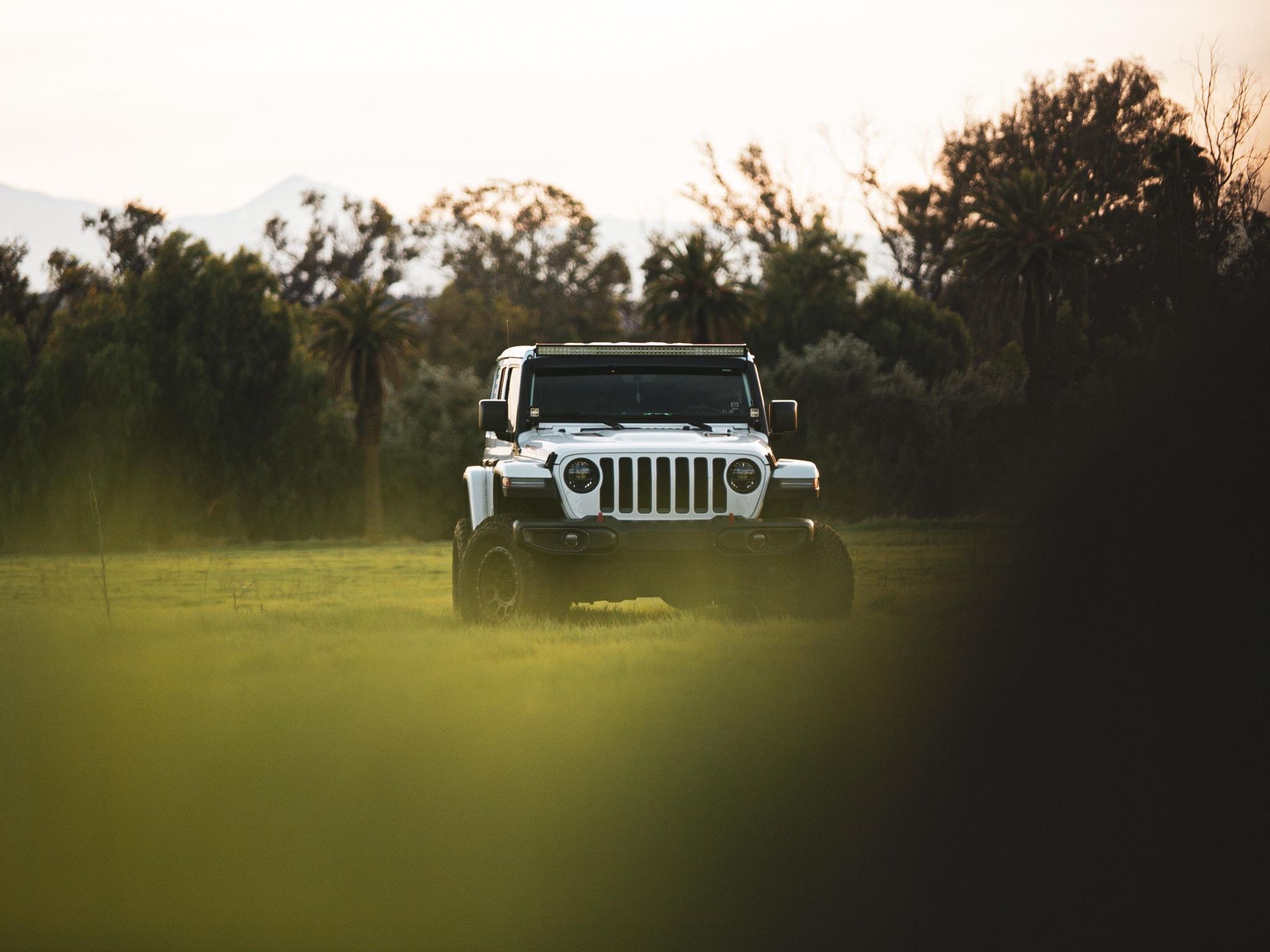 wallpaper jeep wrangler, jeep, car, suv, white HD, Widescreen, High Definition