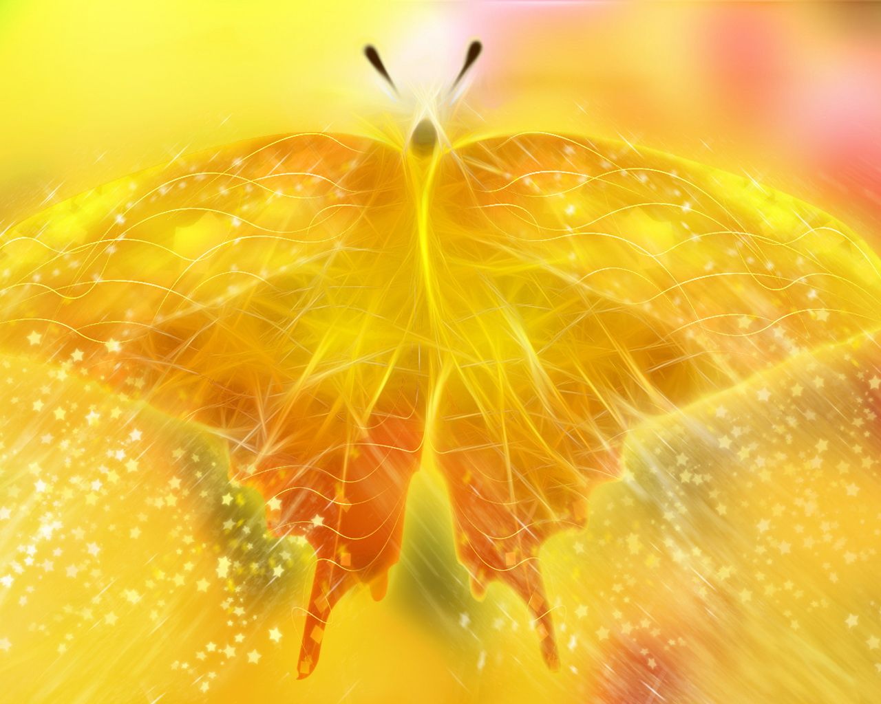 Yellow Butterfly Wallpaper Aesthetic Yellow Computer