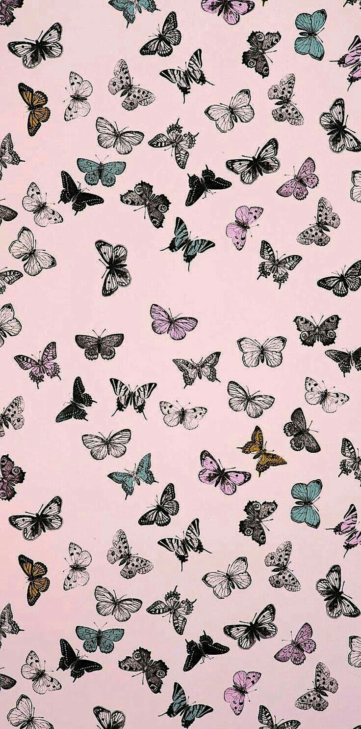 Vintage Butterfly Wallpaper Free Vintage Butterfly Background