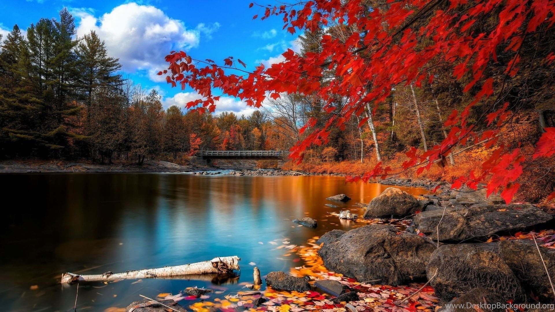 Autumn Wallpaper High Resolution Desktop Background