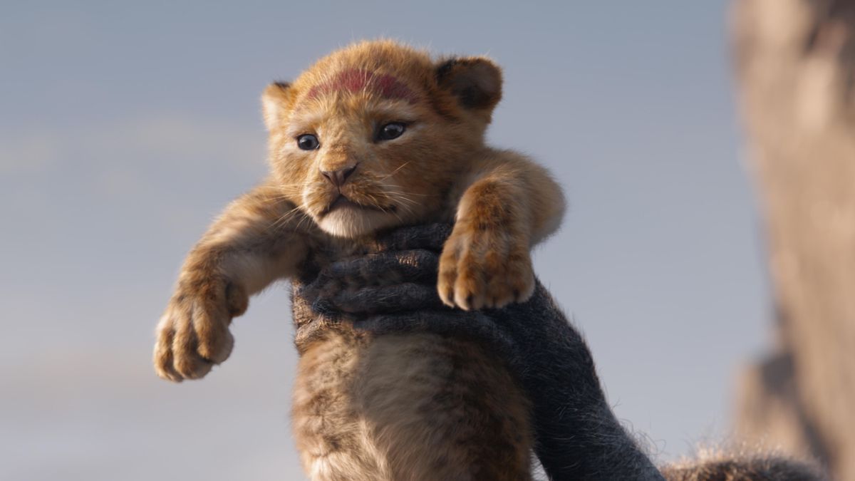 I watched the new Lion King without seeing the original and I have questions