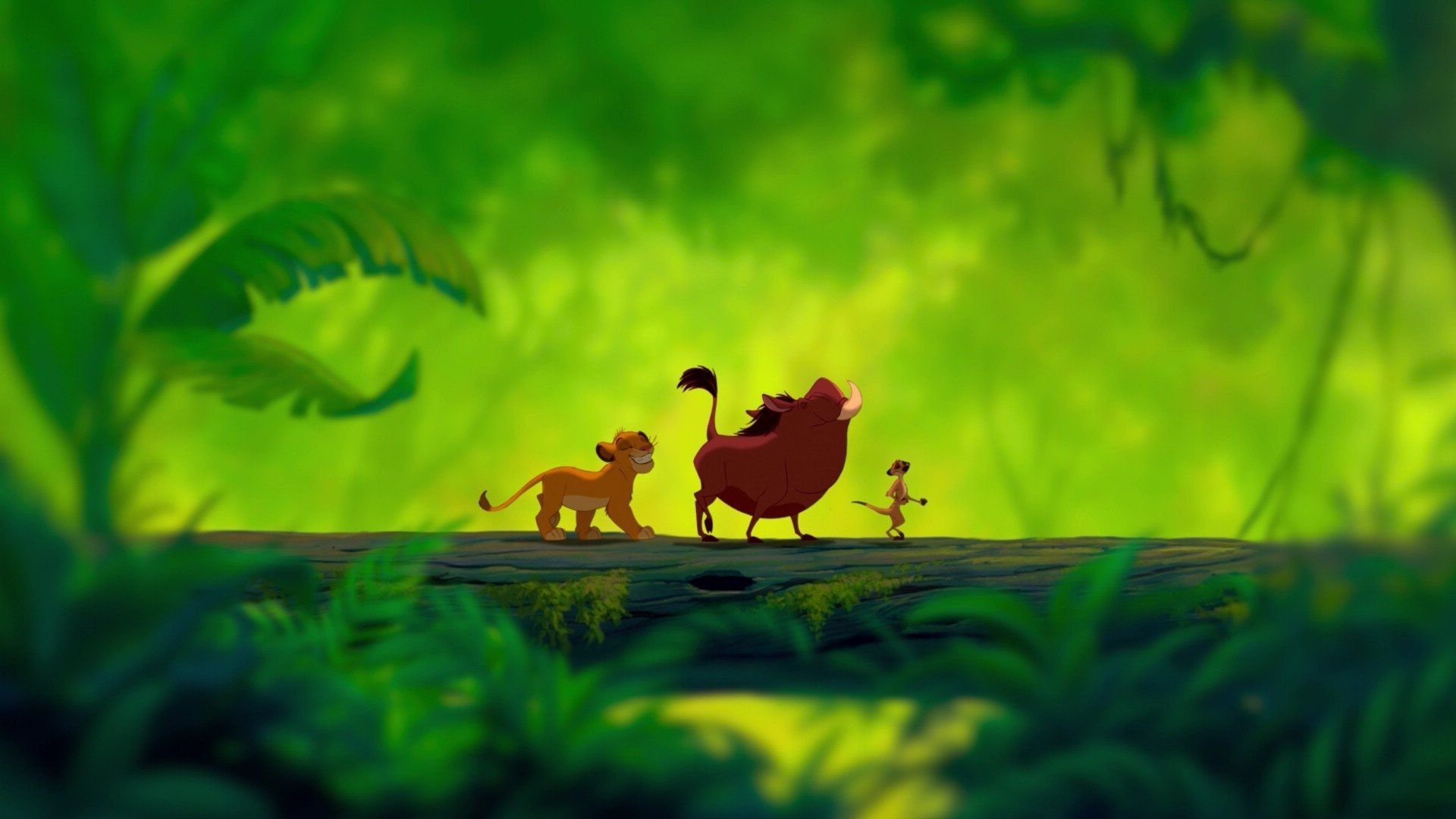 The Lion King Wallpaper Free The Lion King Background