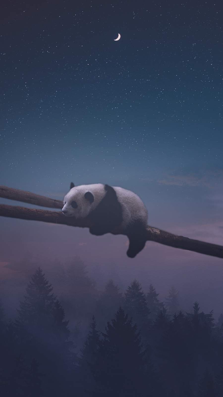 Sleeping Panda iPhone Wallpaper. Cute panda wallpaper, Panda bears wallpaper, Panda wallpaper iphone