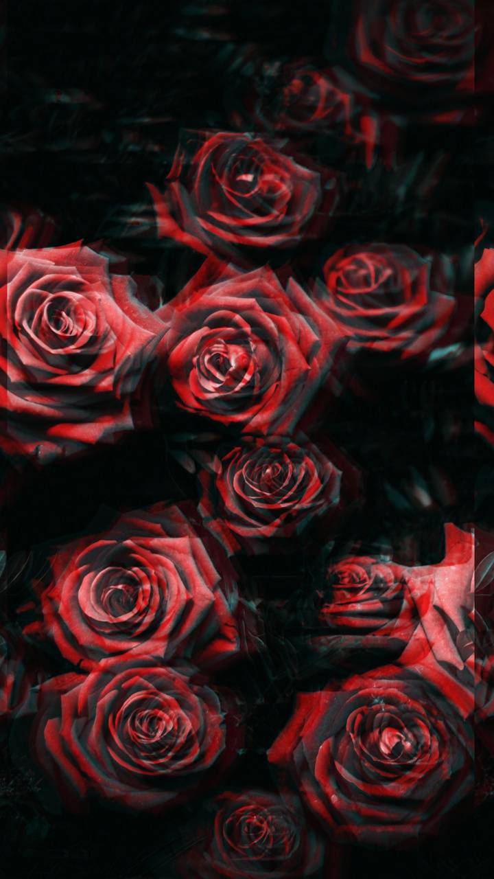 Distorted roses wallpaper