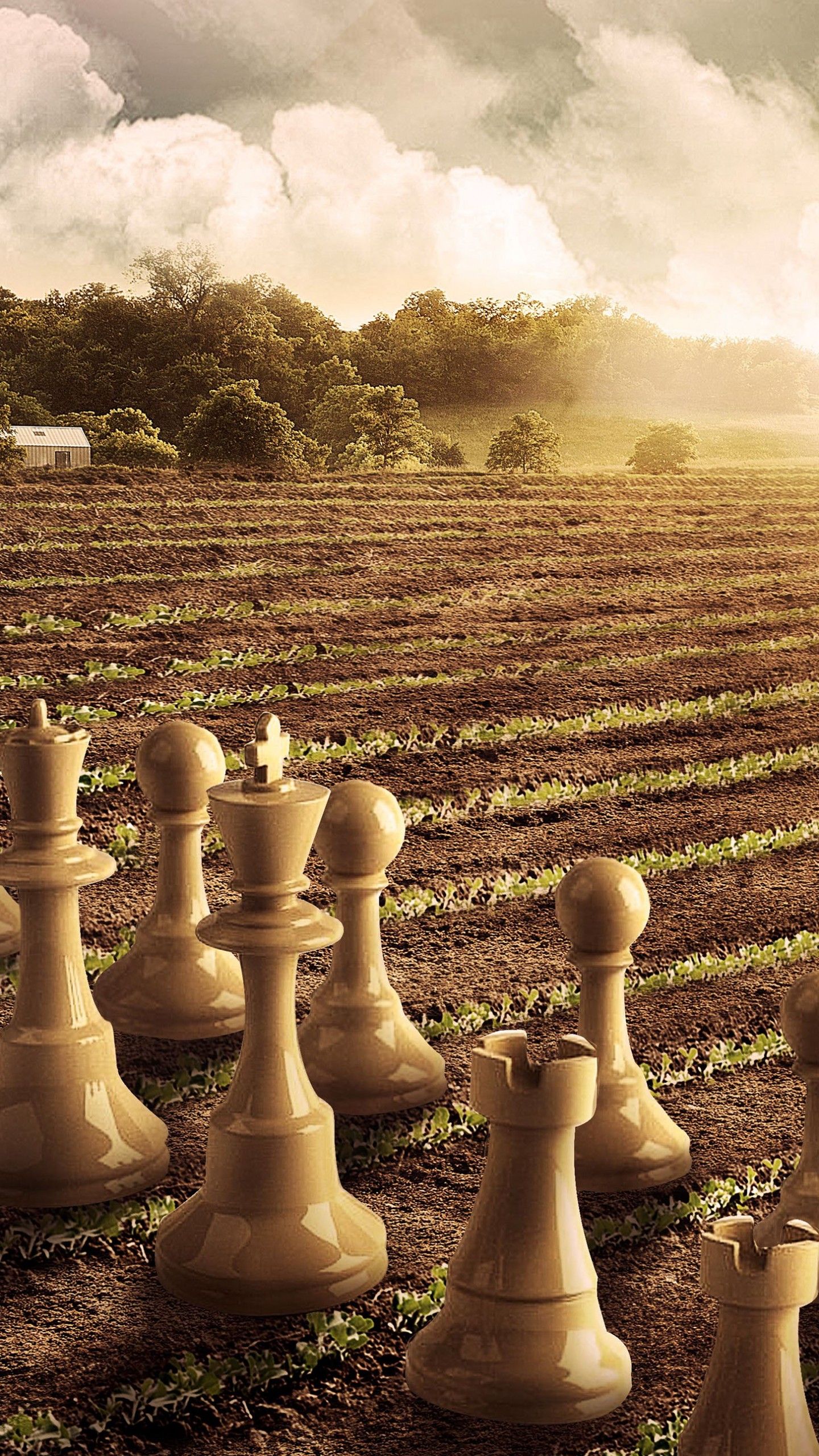 creativity, Chess HD Wallpapers / Desktop and Mobile Images & Photos