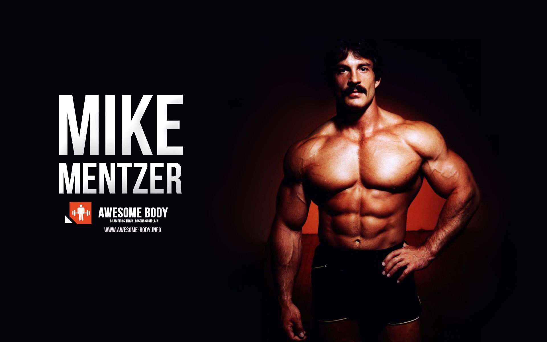 Hulk Gym Wallpaper Schwarzenegger Bodybuilding Wallpaper Posters HD Wallpaper