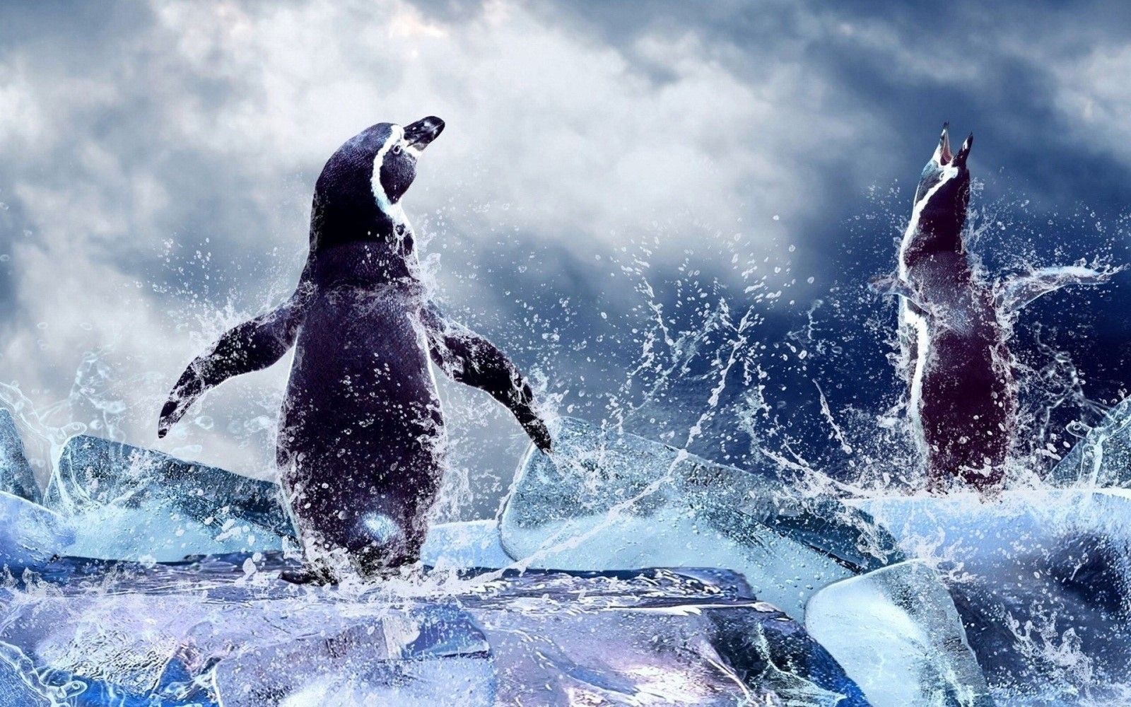 Best Penguin Linux Wallpaper