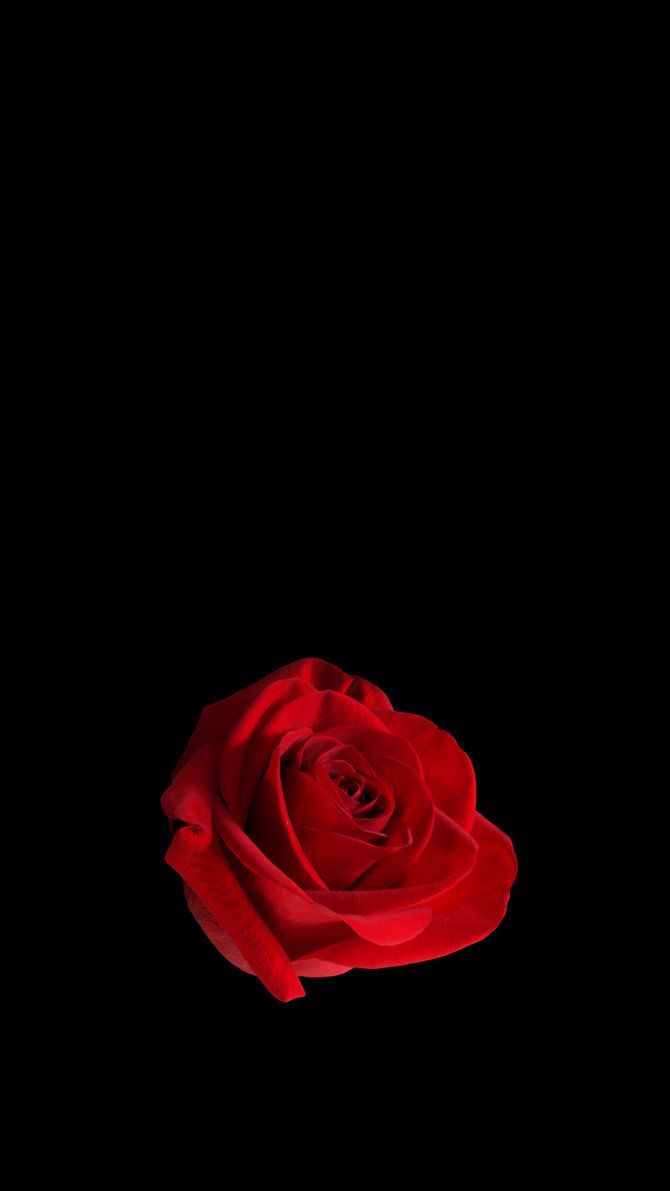 Dark iPhone wallpaper. Valentines wallpaper, Red roses wallpaper, Rose wallpaper