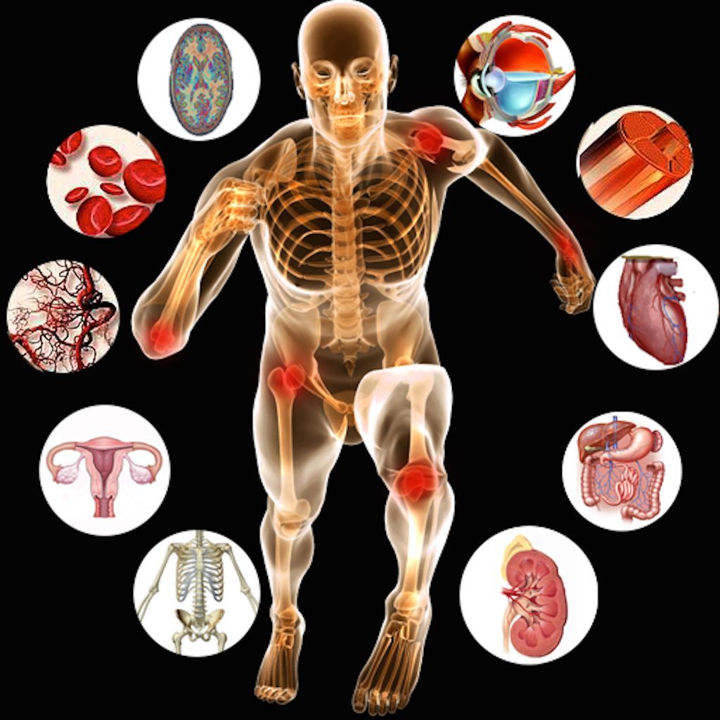 Human Physiology Wallpaper Free Human Physiology Background