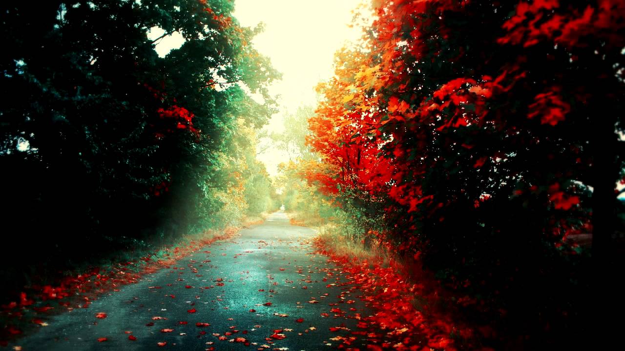 Autumn Colours'
