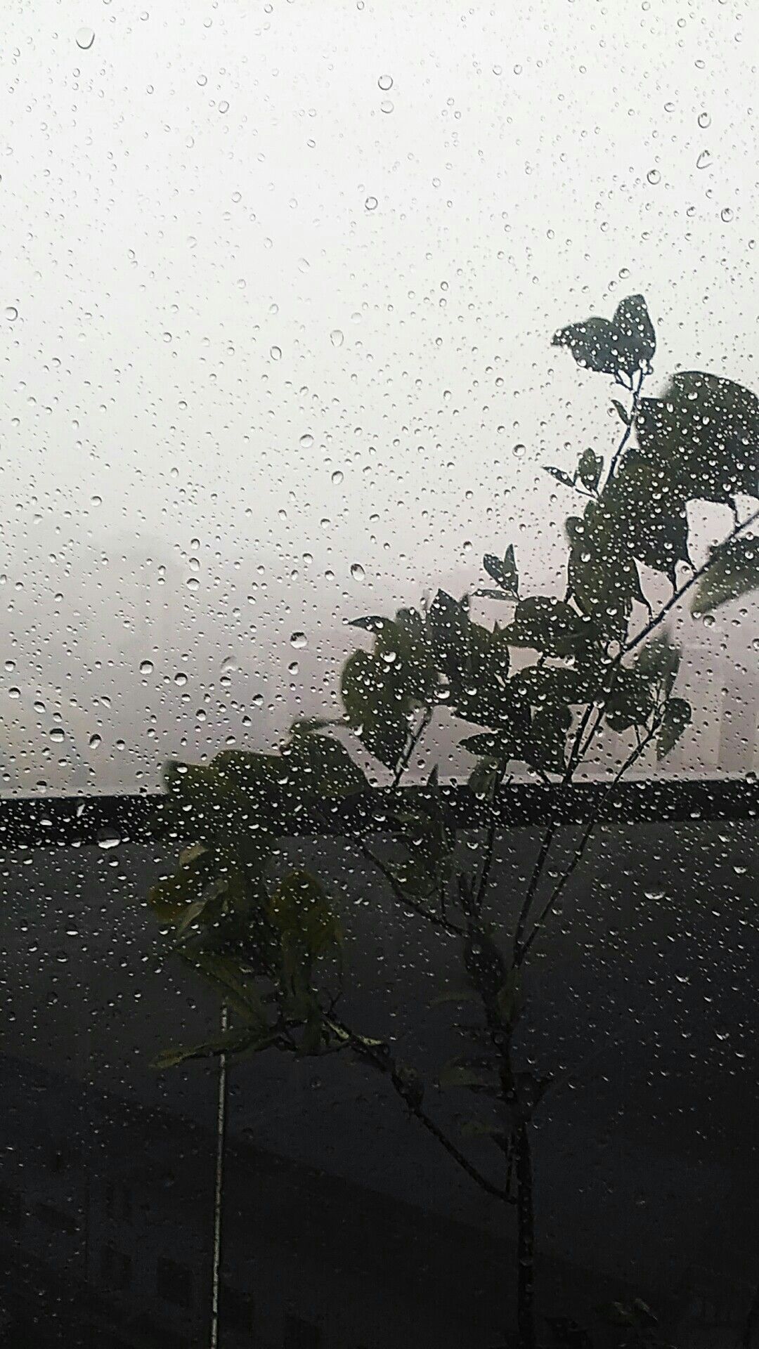 It's raining again. Rain wallpaper, Pretty sky, Aesthetic wallpaper