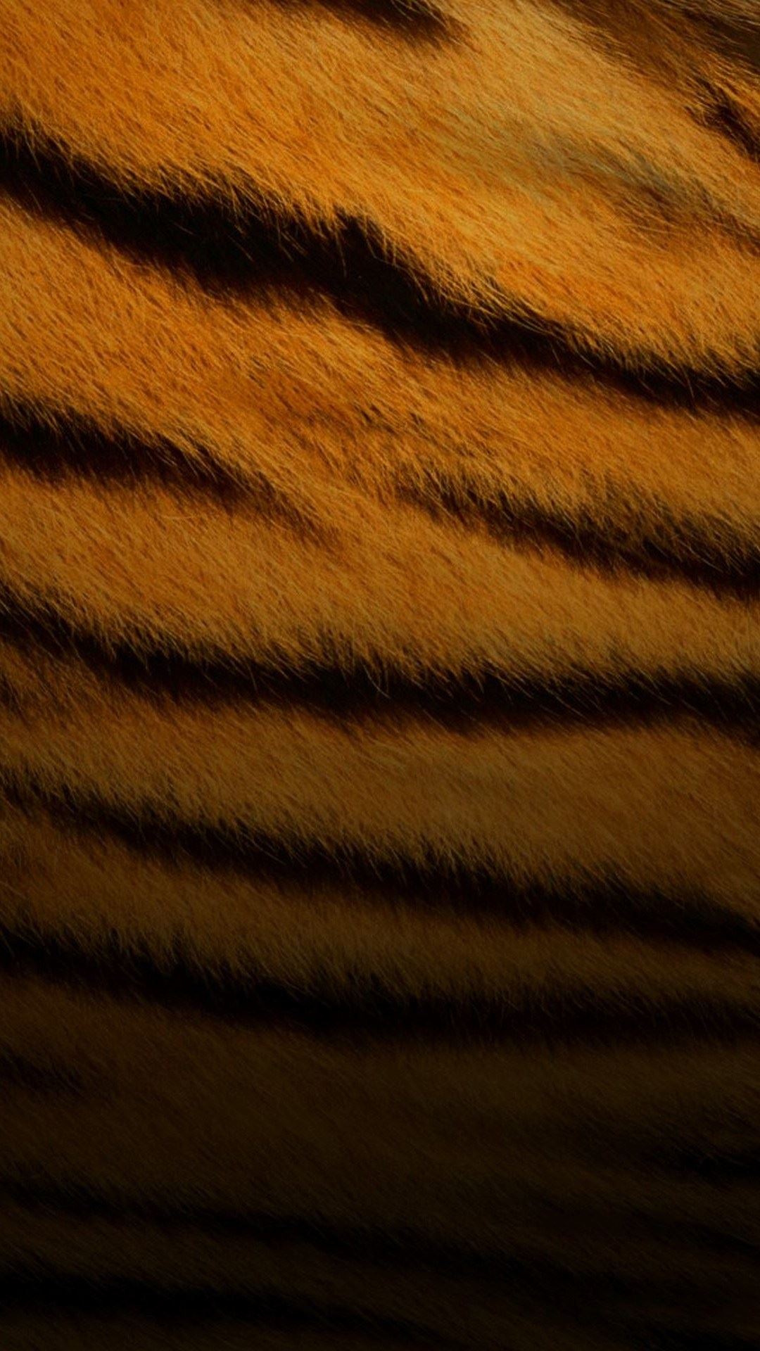 Tiger Skin Pattern iPhone 6 Plus HD Wallpaper HD