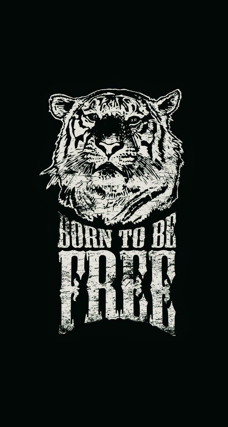 Born To Be Free Tiger Illustration iPhone 6 Plus HD Wallpaper HD
