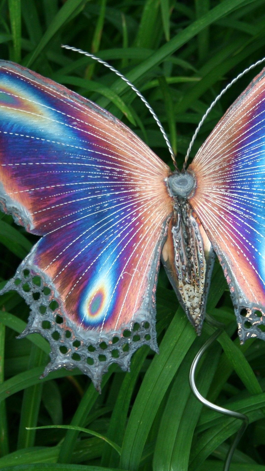 iPhone 6 Green Butterfly Wallpaper