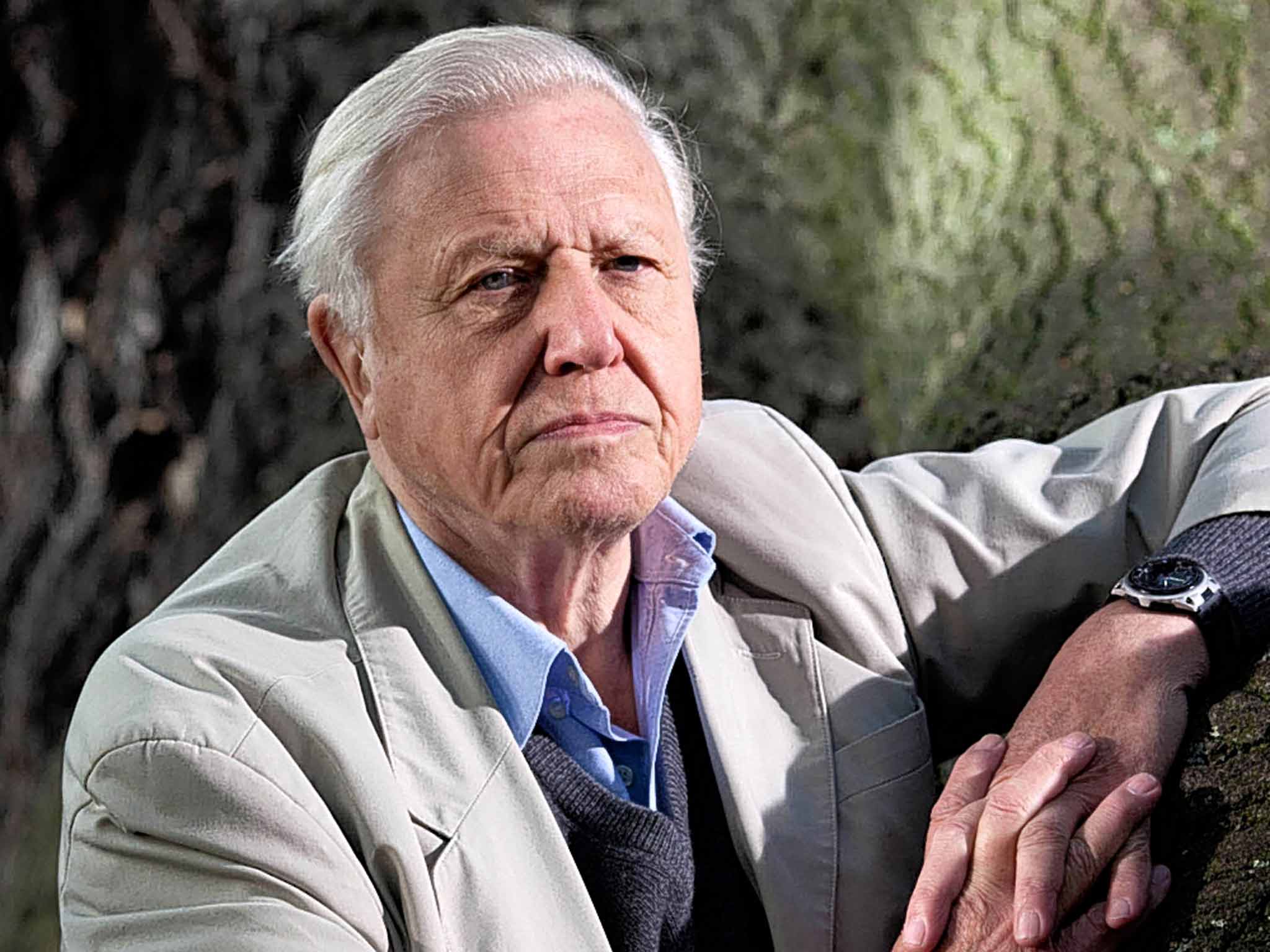 David Attenborough Wallpapers Wallpaper Cave David Attenborough Wallpapers Wallpaper Cave