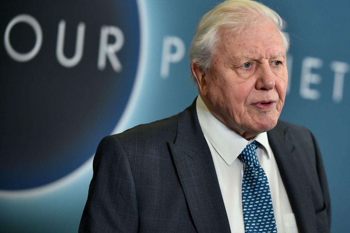 David Attenborough, the voice of Netflix's Our Planet: “Things are going to get worse “