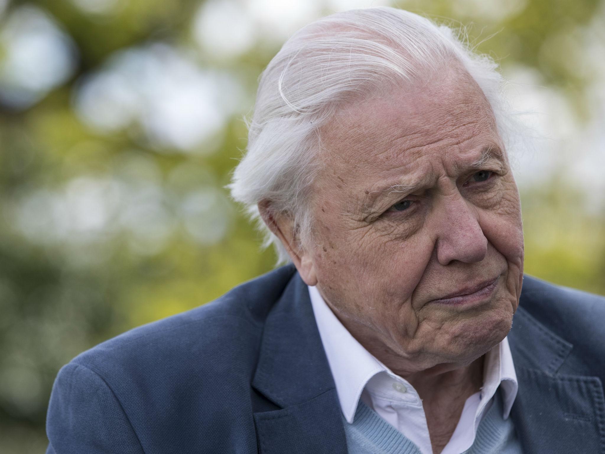 Sir David Attenborough thinks about ageing and his own mortality every day