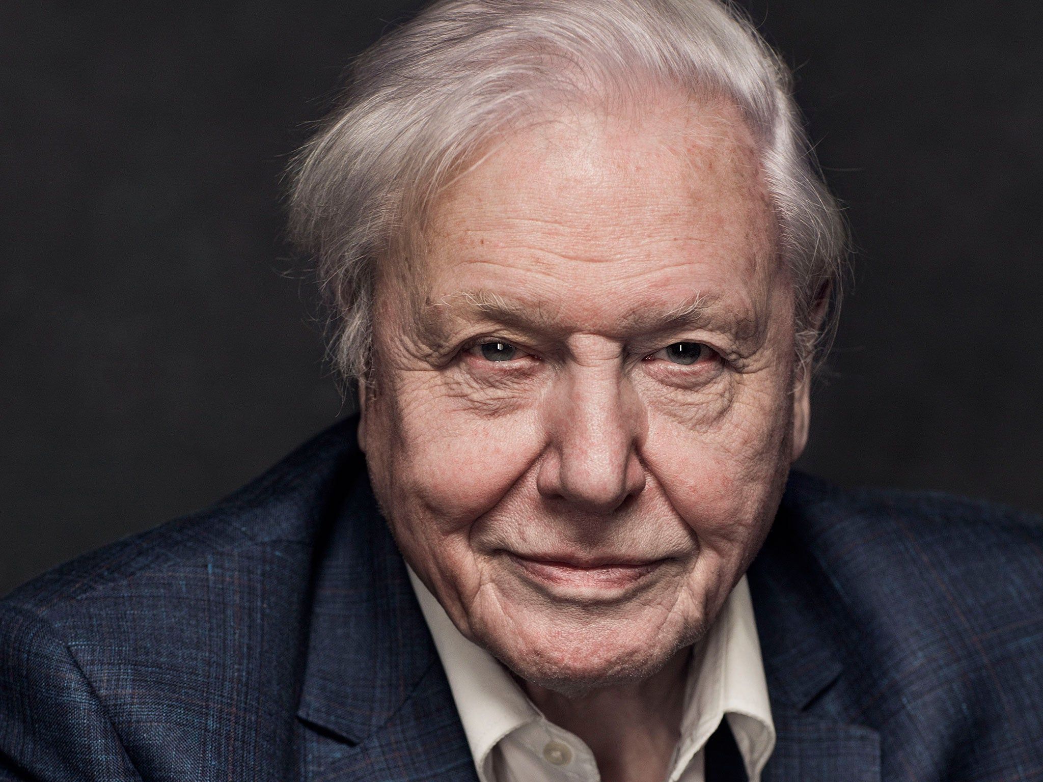 Blue Planet 2: BBC announce new series with Sir David Attenborough