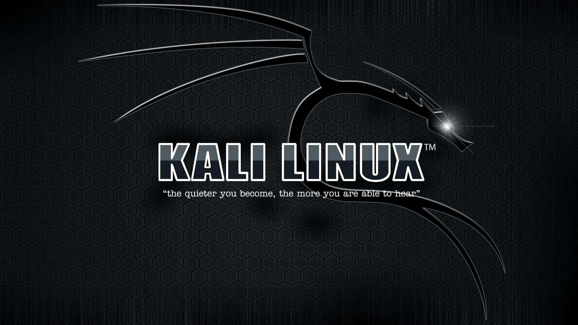 Kali Linux Wallpaper