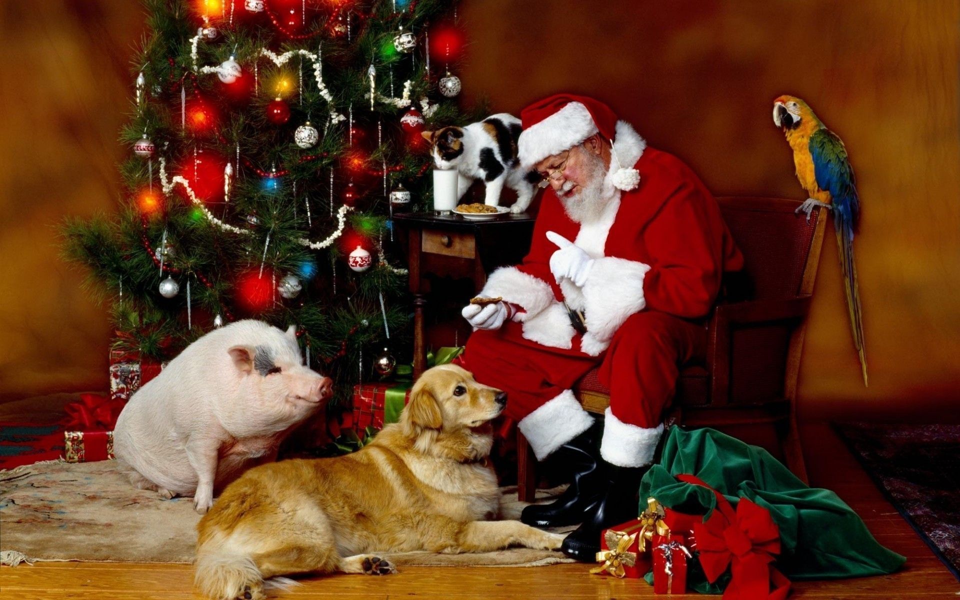 Christmas Dog Desktop Wallpaper