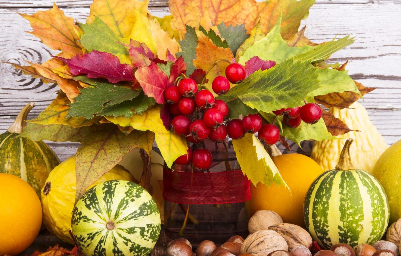 Wallpaper autumn, leaves, berries, harvest, pumpkin, nuts, autumn, leaves, nuts, still life, fruits, pumpkin, harvest image for desktop, section еда