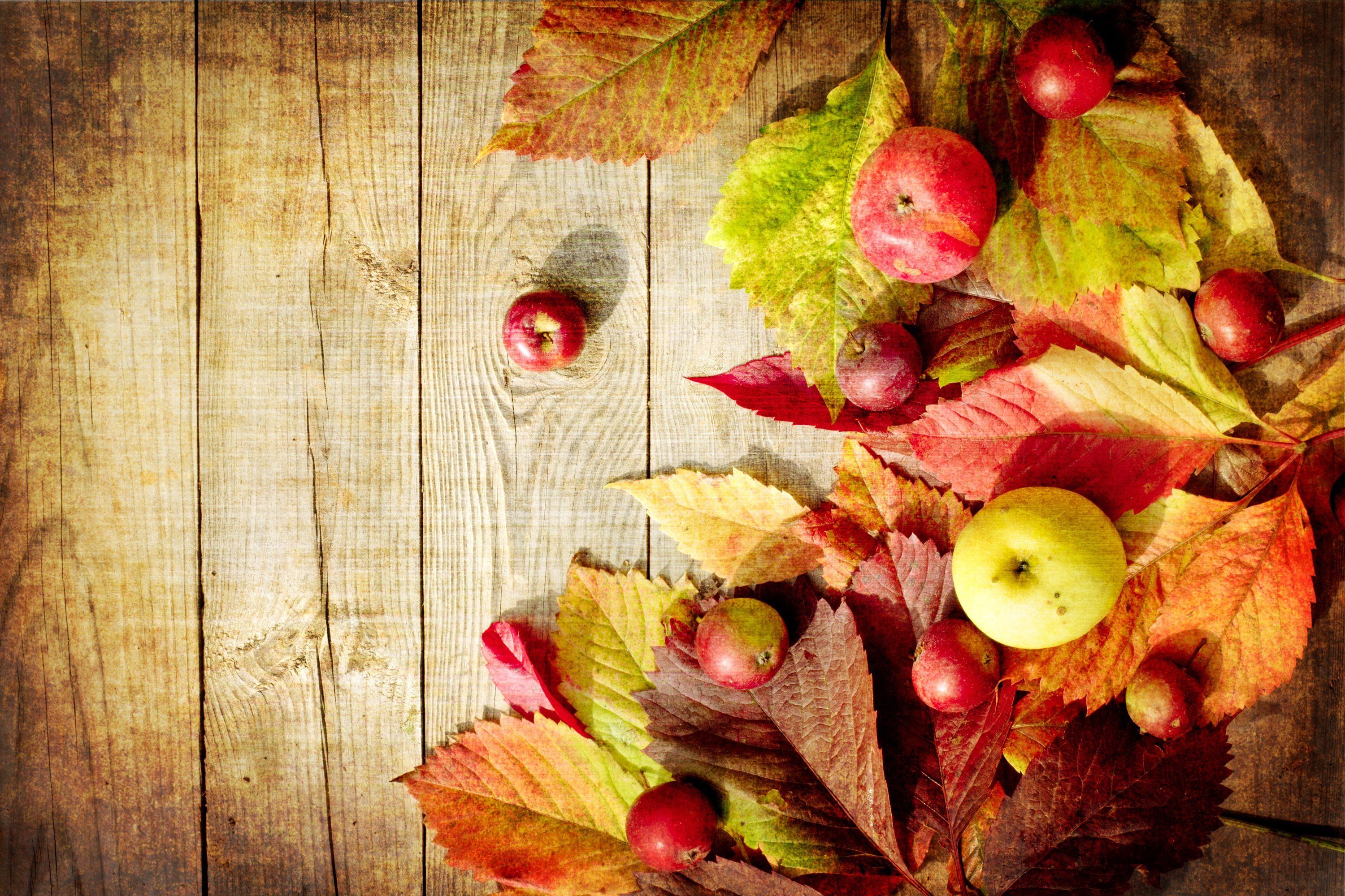 Download wallpaper nature, autumn, leaves, fruits, fruit, apples, board for desktop with resolution 3000x2000. High Quality HD picture wallpaper