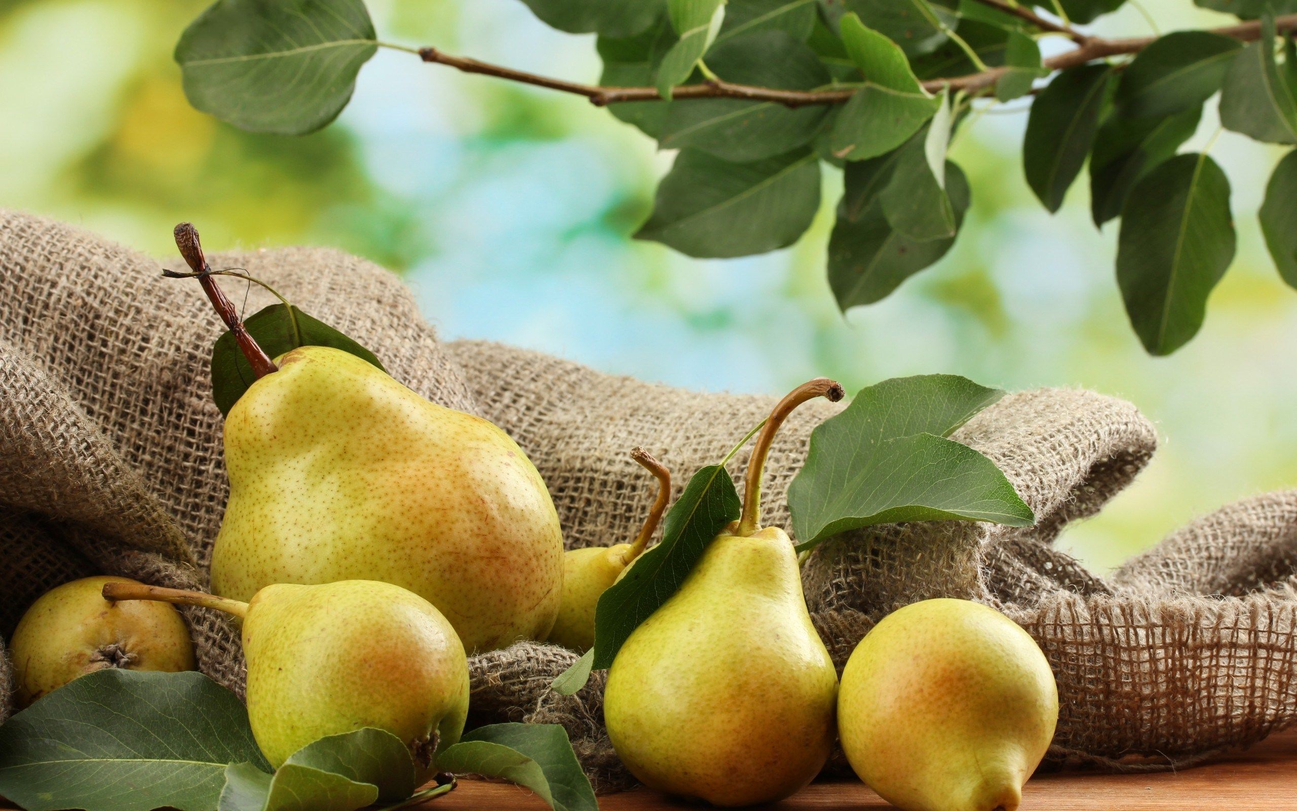 Pears Background wallpaperx1600