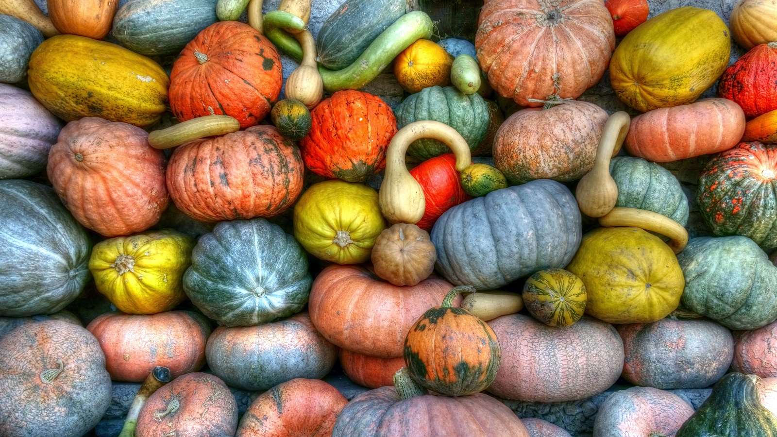 abundance, agriculture, crop, fall, food, fruit, gourd, grow, halloween, healthy, market, pumpkin, squash, vegetables wallpaper. Mocah.org HD Wallpaper