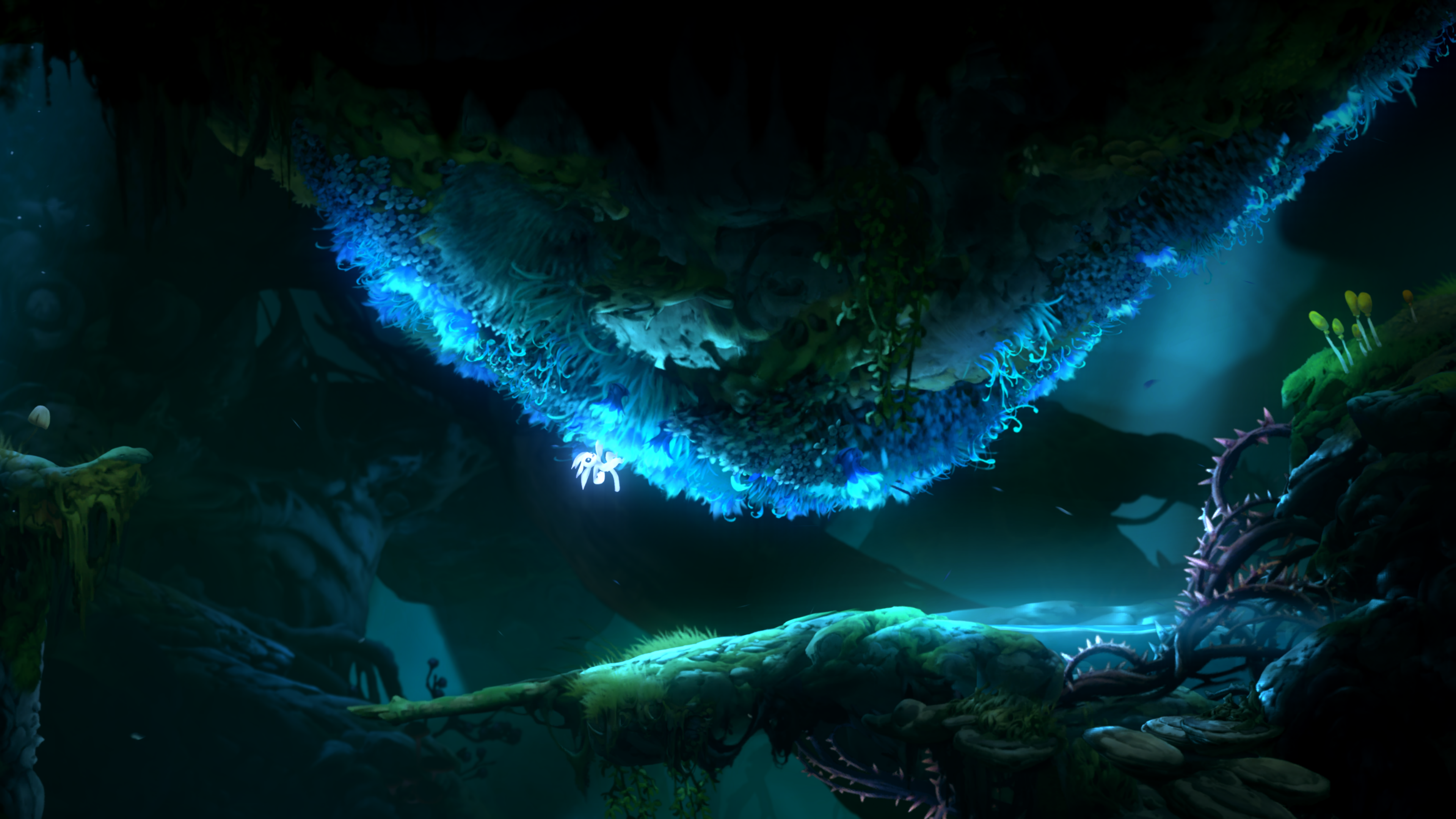 Ori and the Will of the Wisps 4K Wallpaper