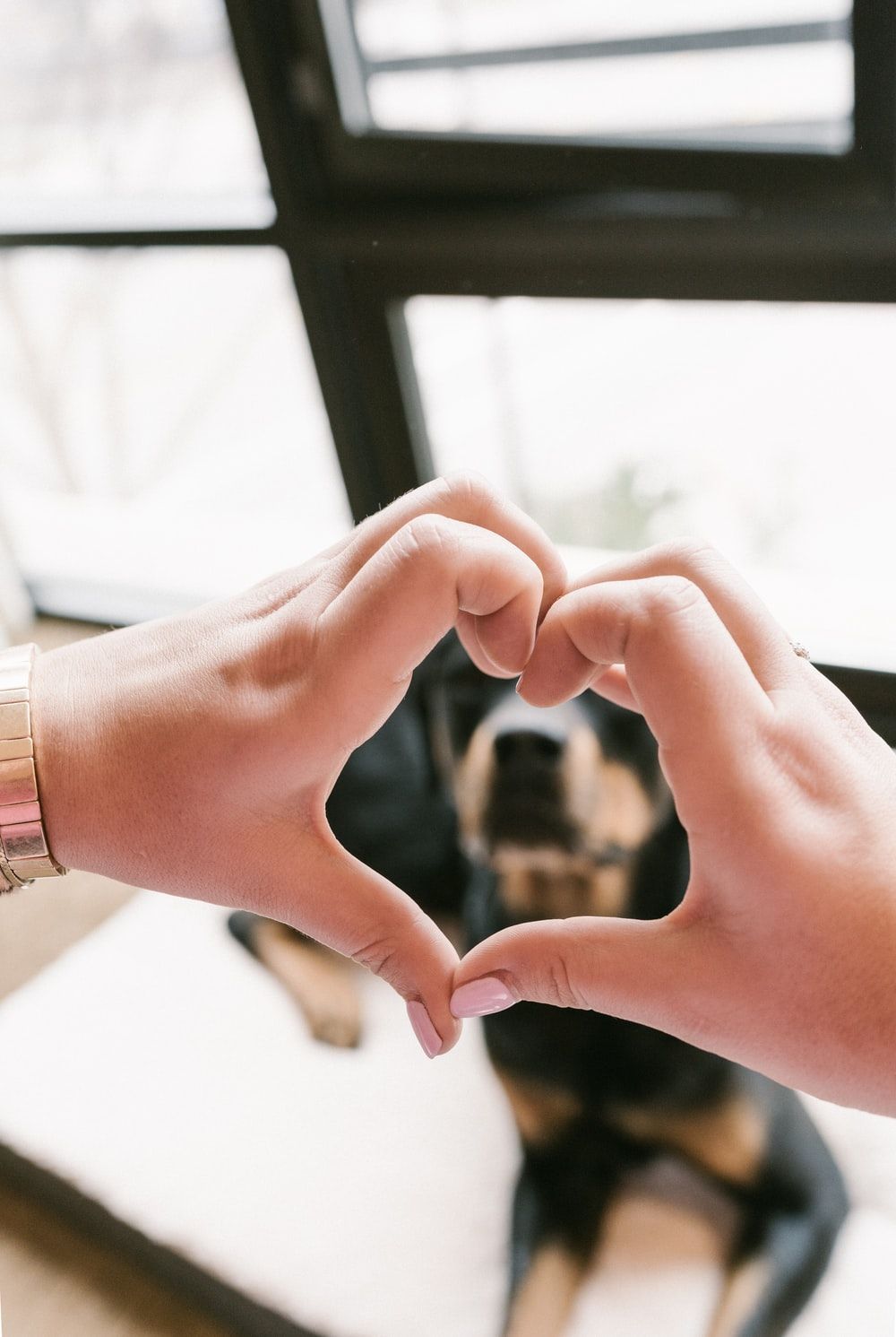 Heart Hand Picture [HQ]. Download Free Image