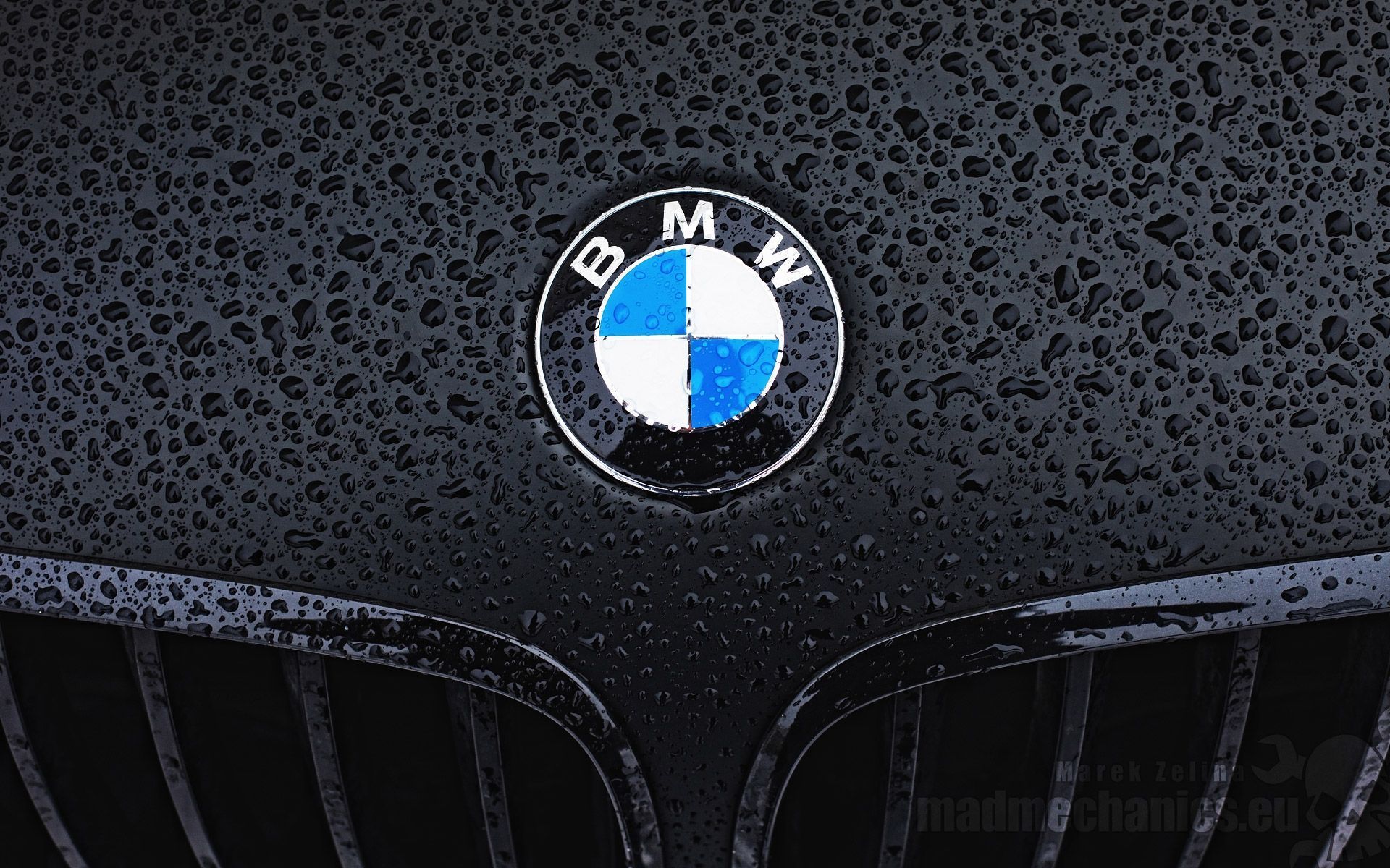 BMW Logo Wallpaper Free BMW Logo Background