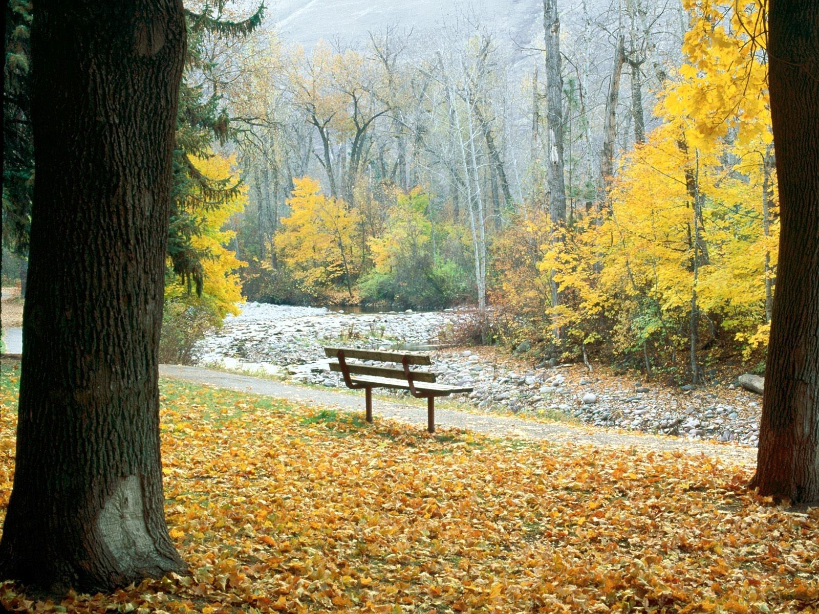 Download wallpaper 1600x1200 bench, park, autumn, trees, montana HD background
