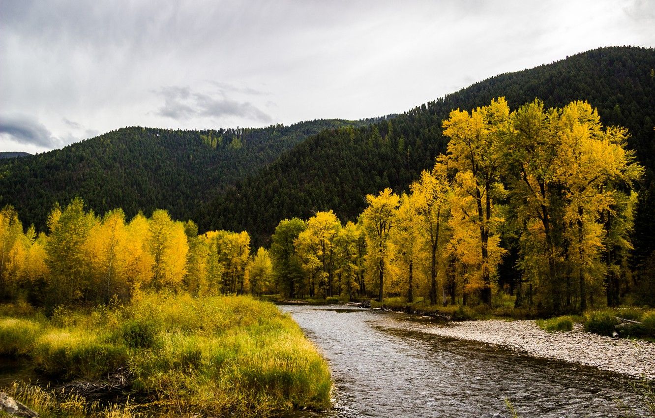 Wallpaper autumn, trees, mountains, river, Montana, USA image for desktop, section природа
