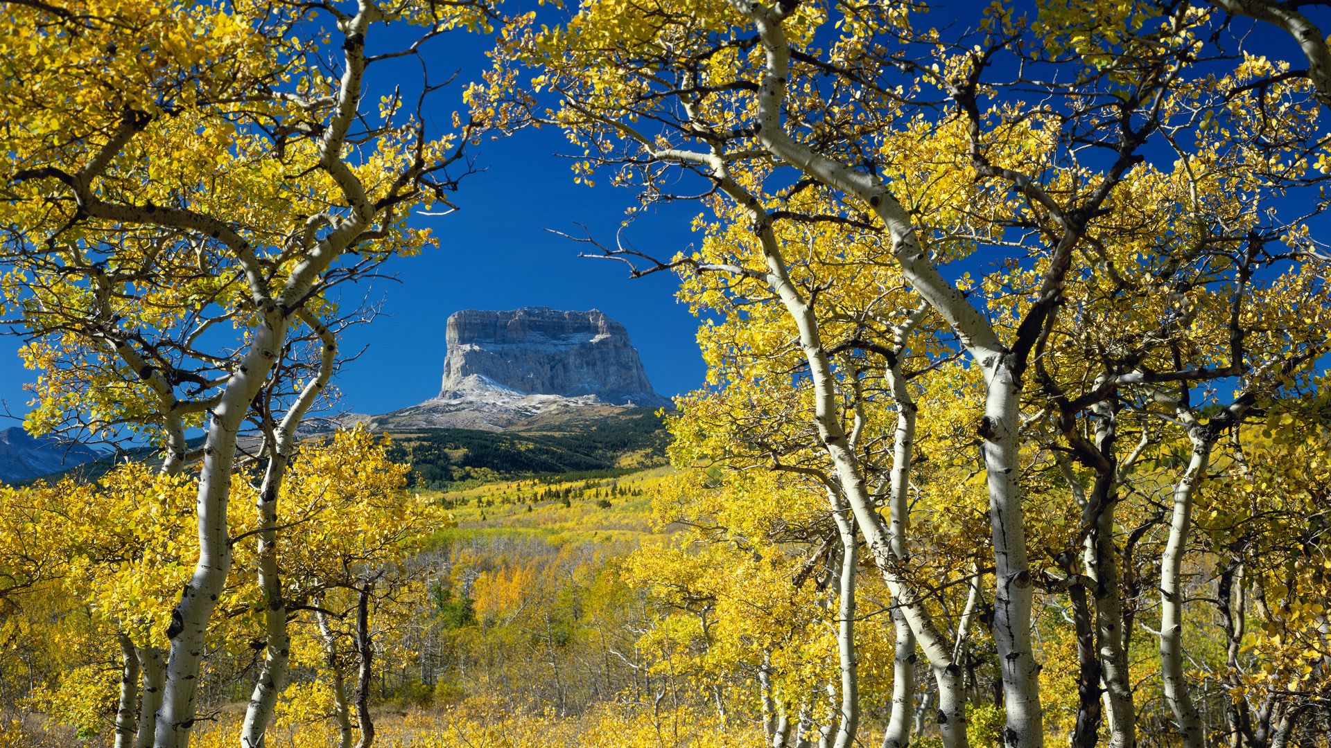 Nice desktop wallpaper of Montana, desktop wallpaper of autumn, mountain