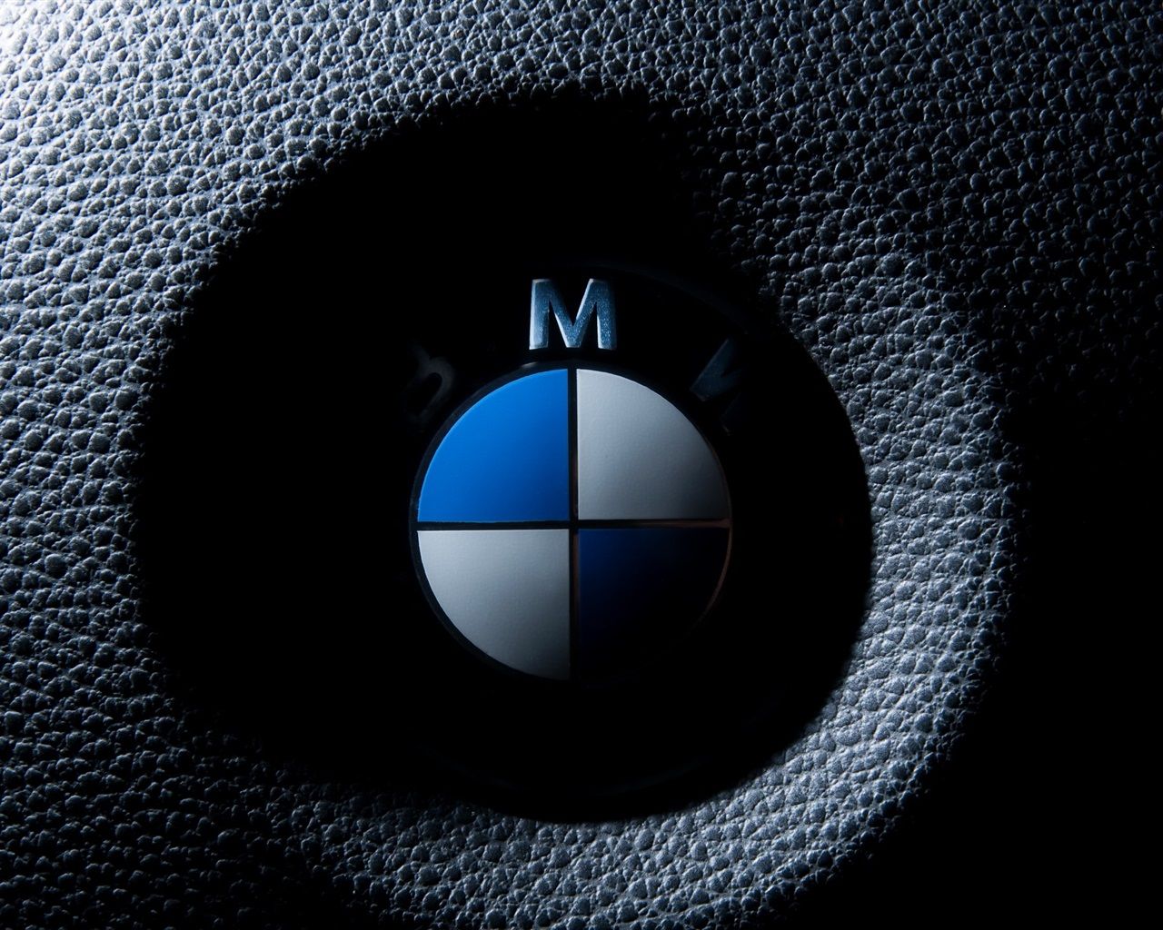 Wallpaper BMW logo macro photography 2560x1440 QHD Picture, Image