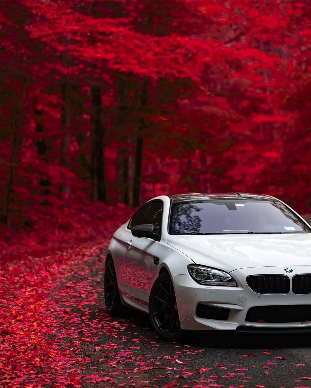 Autumn offers so many opportunities to amaze. The BMW M6 Coupé. #BMW #M6 #BMWM #BMWMrepost. Bmw m Bmw m6 coupe, Bmw cars