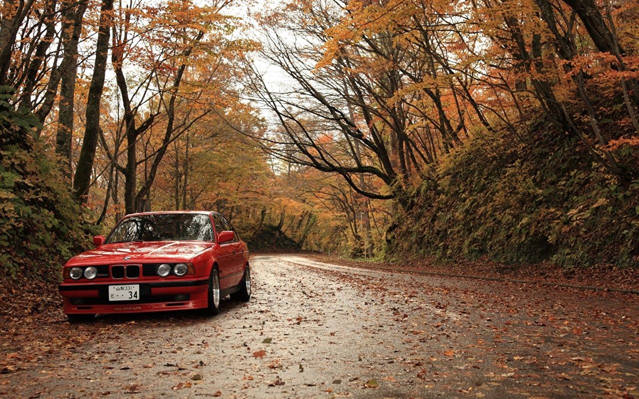 image BMW Leaf Red Autumn Roads automobile Seasons