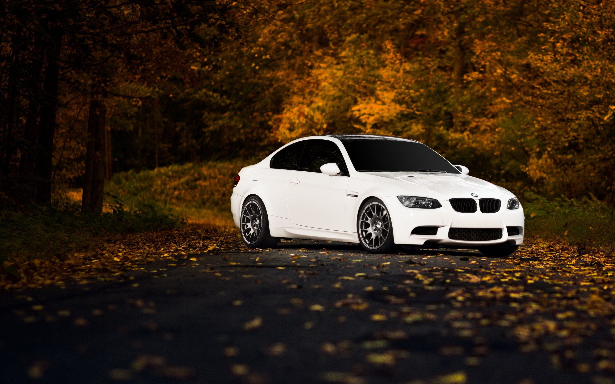 Autumn BMW Wallpapers - Wallpaper Cave