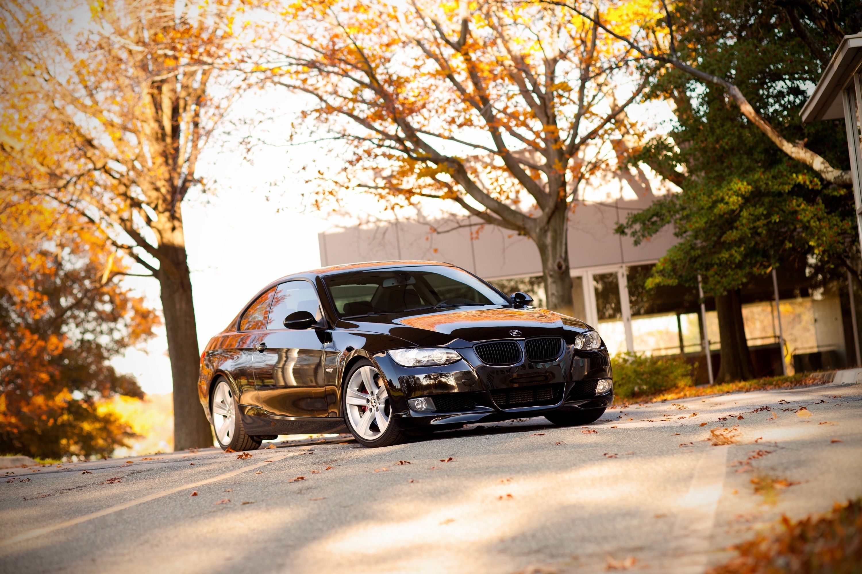 Autumn BMW Wallpapers - Wallpaper Cave