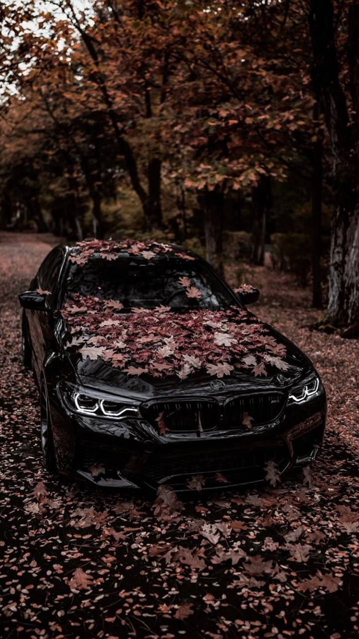 BMW M5 Black wallpaper