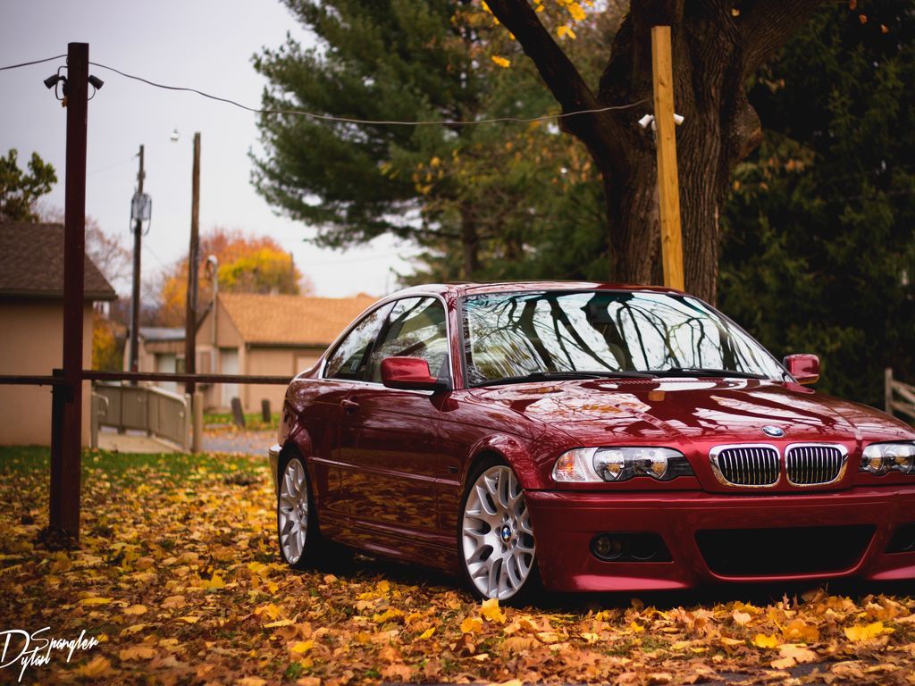 Download wallpaper 1024x768 bmw, red, side view, foliage, autumn standard 4:3 HD background