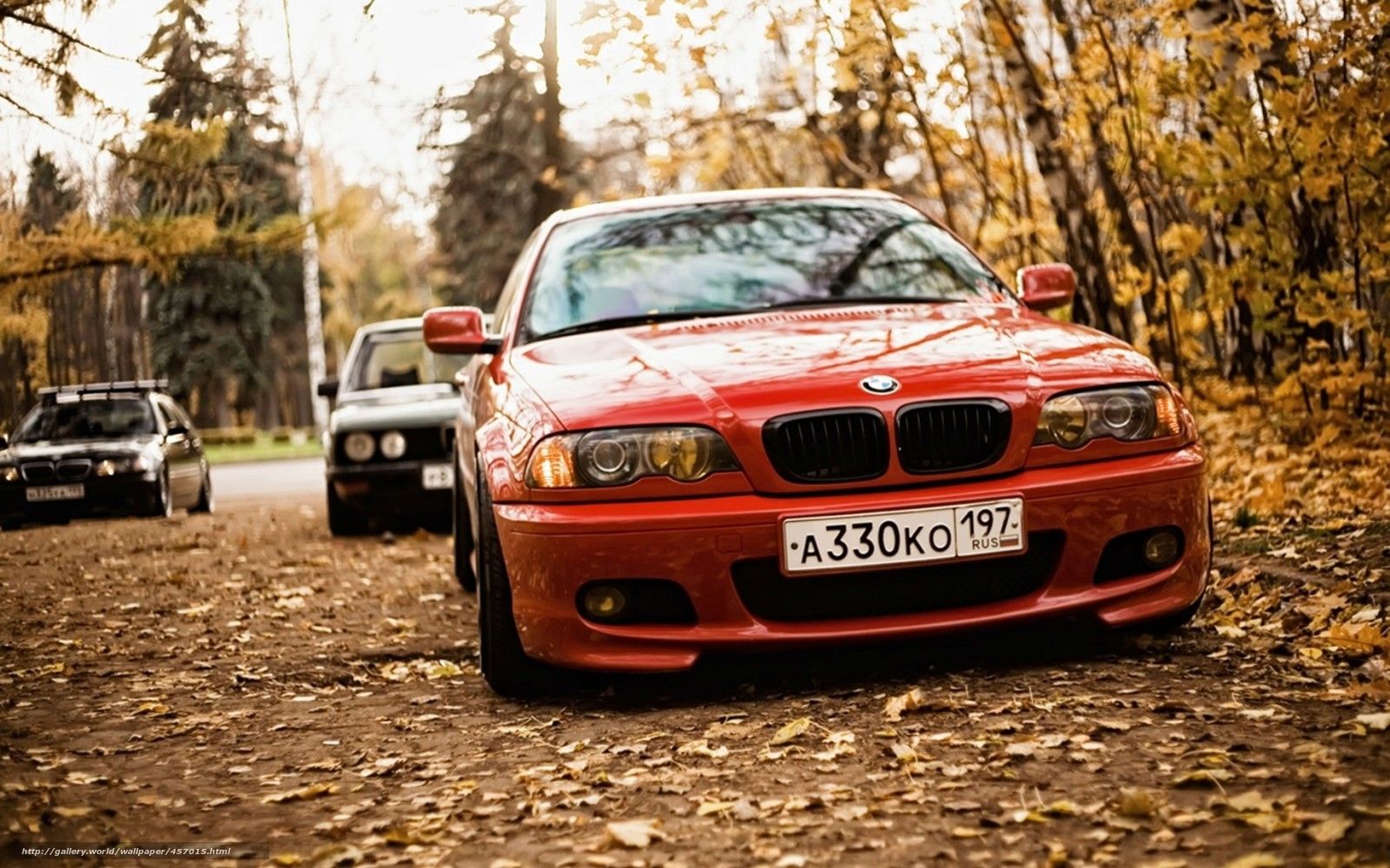Download wallpaper autumn, leaves, forest, bmw free desktop wallpaper in the resolution 1680x1050